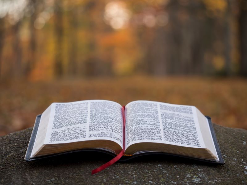 Seven Effective Strategies To Comprehend The Bible